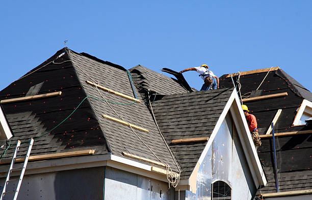 Best Roof Repair Services  in Paw Paw Lake, MI