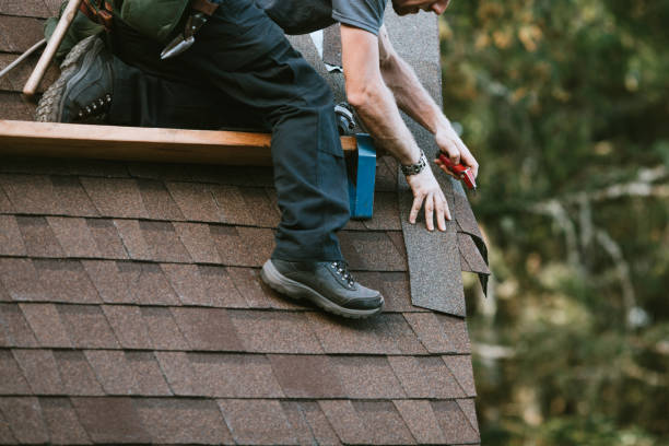 Best Roof Waterproofing Services  in Paw Paw Lake, MI